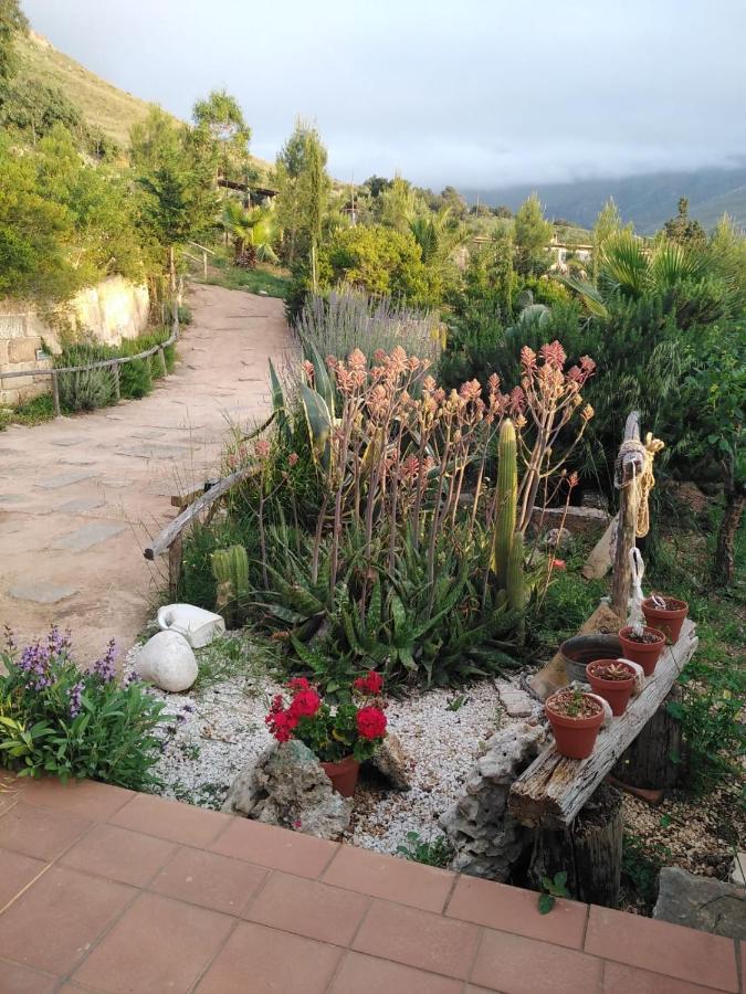 Il Corbezzolo Suite Appartament Кастеллуццо Екстер'єр фото